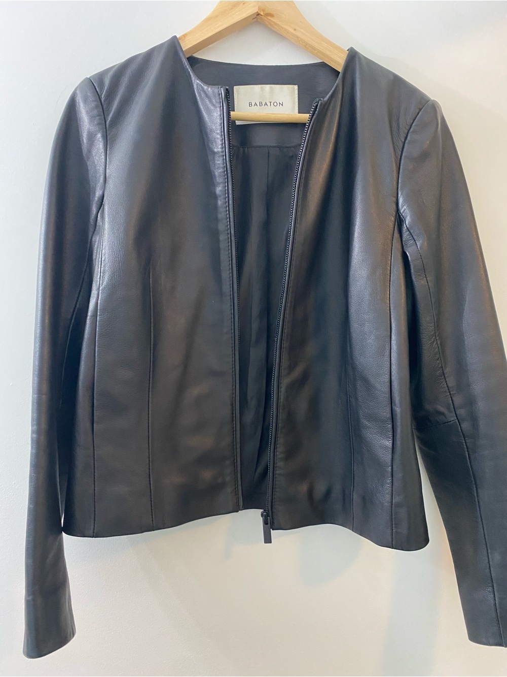 Babaton Jett Genuine Leather Collarless Jacket
